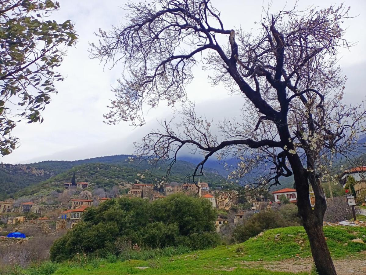 Puli Stone Houses Doğanbey Kültér fotó