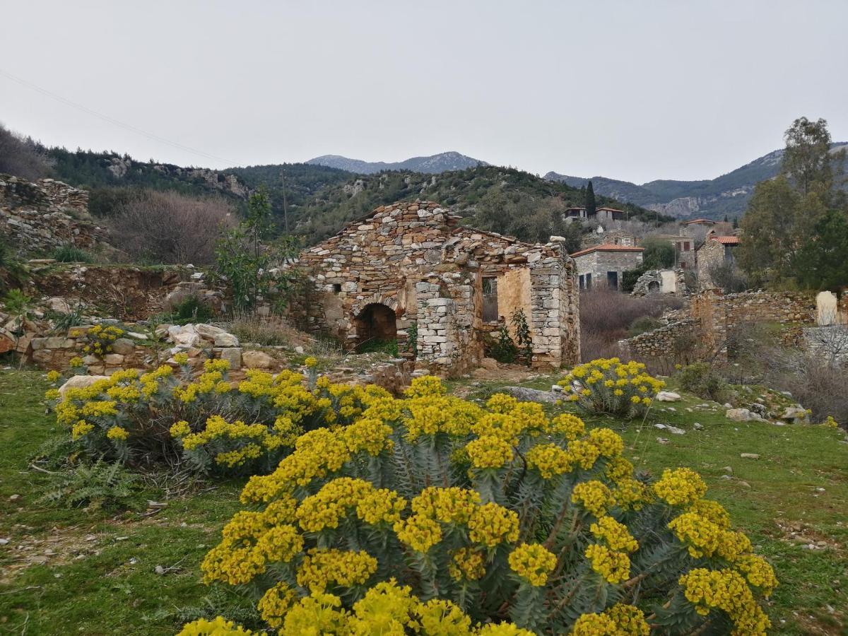 Puli Stone Houses Doğanbey Kültér fotó